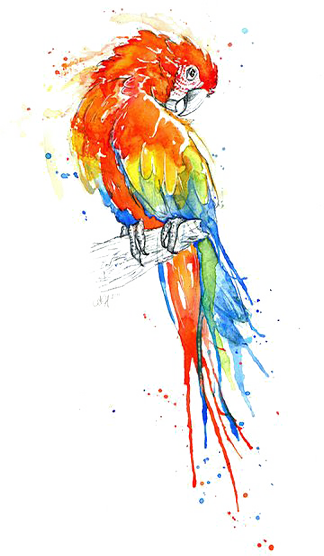 Colorful macaw perched gracefully